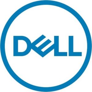DELL 161-BCJX disco rigido interno 12 TB 7200 Giri/min 3.5" SAS