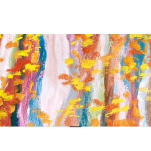 LG 55WN960H TV Hospitality 139,7 cm (55") 4K Ultra HD 500 cd/m² Smart TV Grigio 40 W