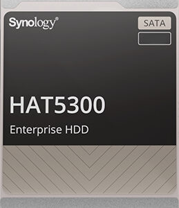 SYNOLOGY HAT5300 3.5 SATA HDD 12TB 7200RPM 254MB/S